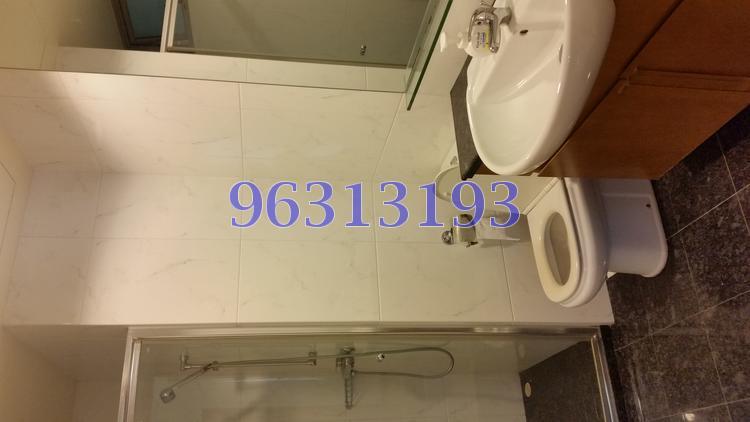 Amaryllis Ville (D11), Condominium #119462392